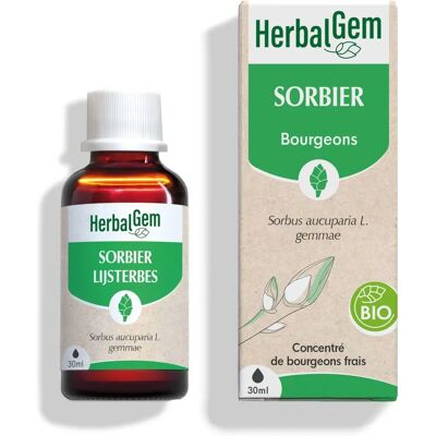 Herbalgem Biologische Zomere 30ml - Voedingssupplement Herbalgem Biologische Zomere 30ml - Voedingssupplement
