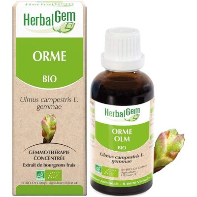 HerbalGem Organisch Elzenblad Extract - Huid & Haar Support HerbalGem Organisch Elzenblad Extract - Huid & Haar Support