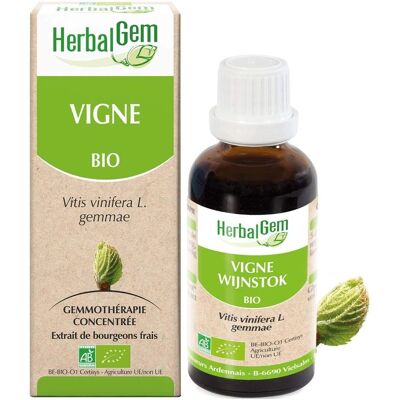 Herbalgem Biologische Wijnstokknoppen Extract - Voedingssupplement Herbalgem Biologische Wijnstokknoppen Extract - Voedingssupplement