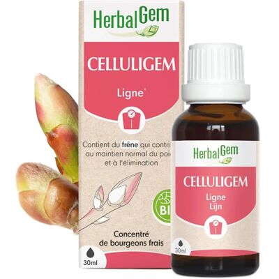 Herbalgem Celluligem Organisch Vloeibaar Complex - Huidverzorging Herbalgem Celluligem Organisch Vloeibaar Complex - Huidverzorging