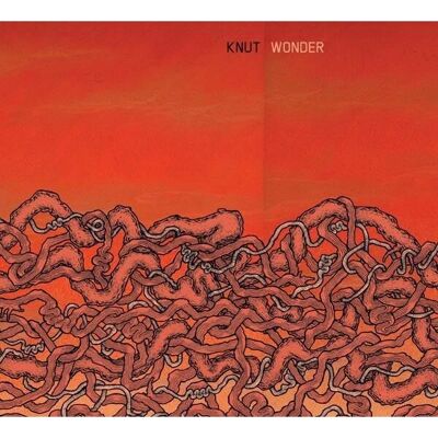 Knut Wonder - 1 CD-album - Konspiration Knut Wonder - 1 CD-album - Konspiration