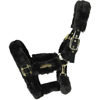 Kentucky Horsewear Transporthalfter Lammfell Nylonhalfter - Halter - Publicité Kentucky Horsewear Transporthalfter Lammfell Nylonhalfter - Halter - Publicité
