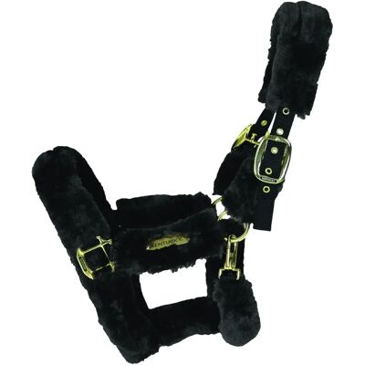 Kentucky Horsewear Transporthalfter Lammfell Nylonhalfter - Pferdehalfter Kentucky Horsewear Transporthalfter Lammfell Nylonhalfter - Pferdehalfter