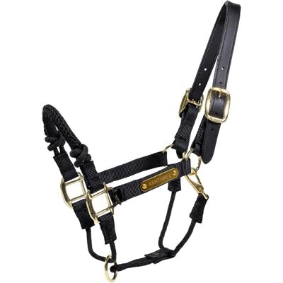 Kentucky Horsewear Nylon Kontrollhalfter - Schwarz - Cob - Pferdehalfter Kentucky Horsewear Nylon Kontrollhalfter - Schwarz - Cob - Pferdehalfter