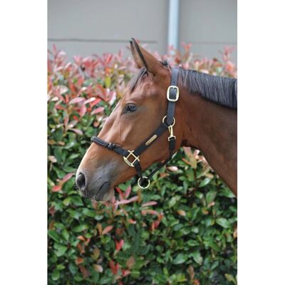 Kentucky Horsewear Kontrollhalfter Nylon schwarz - Cabezada de control - Publicité Kentucky Horsewear Kontrollhalfter Nylon schwarz - Cabezada de control - Publicité