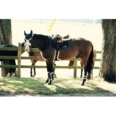 Kentucky Horsewear Sattelgurt - Komfort & Schutz Kentucky Horsewear Sattelgurt - Komfort & Schutz
