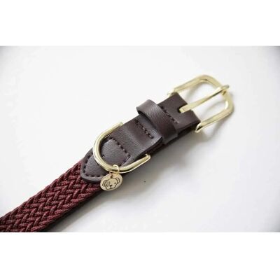 Kentucky Dogwear Modelo 37cm - Collar de Nylon Trenzado Elegante para Perros Kentucky Dogwear Modelo 37cm - Collar de Nylon Trenzado Elegante para Perros