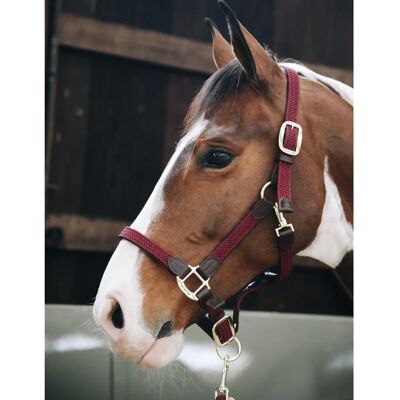 Kentucky Horsewear Halte nylon Bordeaux - Licol - Publicité Kentucky Horsewear Halte nylon Bordeaux - Licol - Publicité