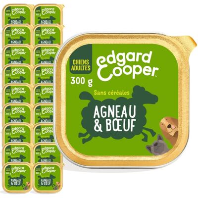 Pont Arc-en-ciel Écologique Échelle pour Hamster - Échelle pour Hamster - Publicité Pont Arc-en-ciel Écologique Échelle pour Hamster - Échelle pour Hamster - Publicité