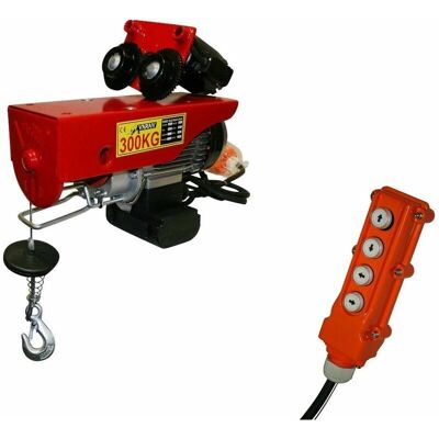 Varan Motors PA300C Polipasto Eléctrico - 300kg, Mando, 12m Alto Varan Motors PA300C Polipasto Eléctrico - 300kg, Mando, 12m Alto