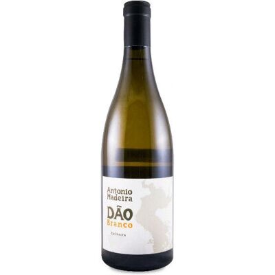 António Madeira Branco 2021 - Vin Blanc - Publicité António Madeira Branco 2021 - Vin Blanc - Publicité