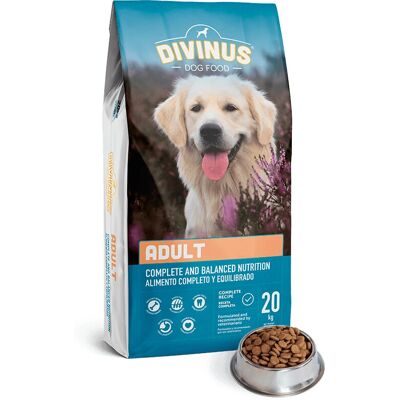 Divinus Adult 20 kg - Torrfoder för hundar, köttsmak Divinus Adult 20 kg - Torrfoder för hundar, köttsmak