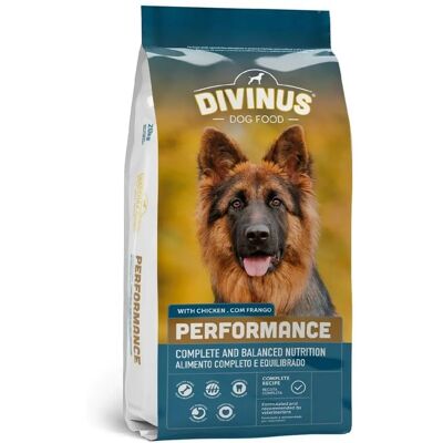 Divinus Owczarek Niemiecki Kurczak - Sucha karma dla psów 10 kg Divinus Owczarek Niemiecki Kurczak - Sucha karma dla psów 10 kg