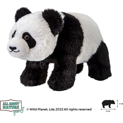 Wild Planet Urso de Pelúcia Panda Tudo Sobre a Natureza Verde - Brinquedo Wild Planet Urso de Pelúcia Panda Tudo Sobre a Natureza Verde - Brinquedo