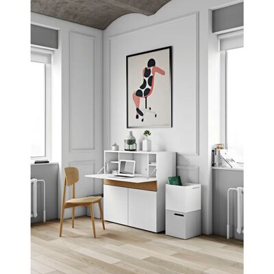 Temahome Focus Bureau Secrétaire - Design Moderne - Publicité Temahome Focus Bureau Secrétaire - Design Moderne - Publicité