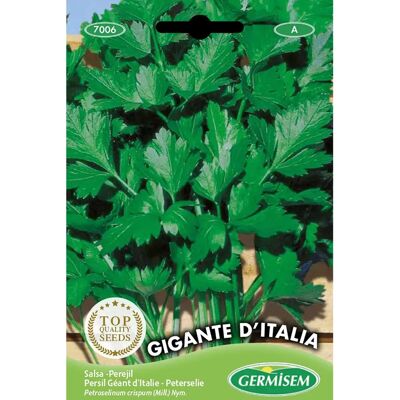 GERMISEM - Semi di Prezzemolo Gigante d'Italia 10 g GERMISEM - Semi di Prezzemolo Gigante d'Italia 10 g