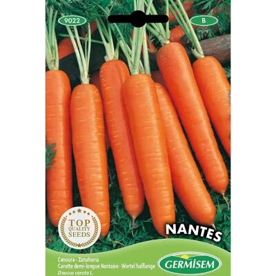 Semi di Carota GERMISEM Nantes - Radice Tradizionale - 10g Semi di Carota GERMISEM Nantes - Radice Tradizionale - 10g