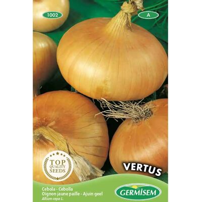 Semi di Cipolla GERMISEM Vertus - Piantare in primavera Semi di Cipolla GERMISEM Vertus - Piantare in primavera