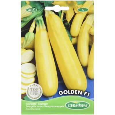 GERMISEM Zucchina Gialla Golden F1 - semi GERMISEM Zucchina Gialla Golden F1 - semi