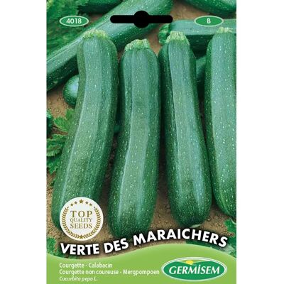 Semi di Zucchina Verde GERMISEM - Semi di Ortaggi Semi di Zucchina Verde GERMISEM - Semi di Ortaggi