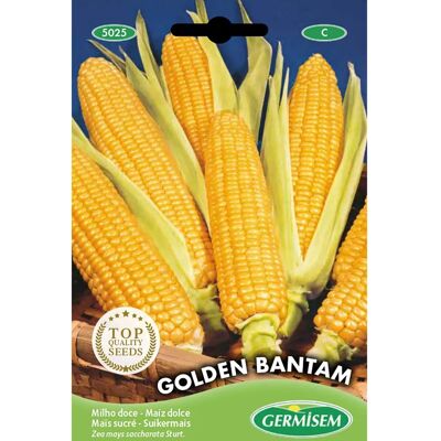 Semi di Mais Dolce GERMISEM Golden Bantam - 10 g Semi di Mais Dolce GERMISEM Golden Bantam - 10 g