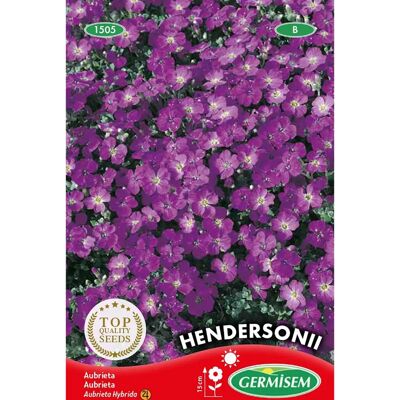 Semi Aubrieta Hendersonni Germisem - Copertura del terreno sempreverde - 0,3 g Semi Aubrieta Hendersonni Germisem - Copertura del terreno sempreverde - 0,3 g