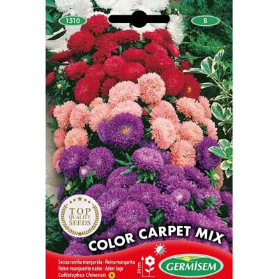 Semi Variati Rainha Margarida di GERMISEM - Semi di fiori Semi Variati Rainha Margarida di GERMISEM - Semi di fiori
