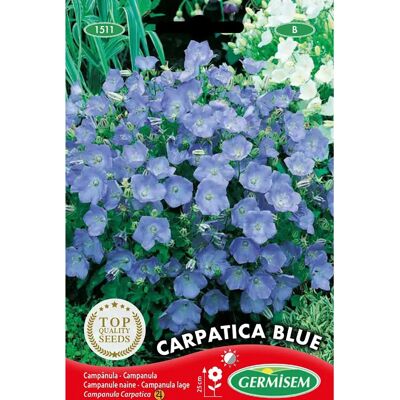 Semi GERMISEM Carpatica Blue - Semi di fiori per giardini rocciosi Semi GERMISEM Carpatica Blue - Semi di fiori per giardini rocciosi