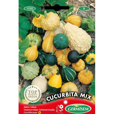 Semi di Zucca GERMISEM - Miscela Ornamentale Semi di Zucca GERMISEM - Miscela Ornamentale
