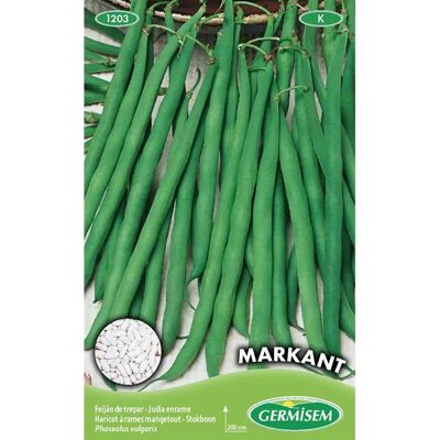 Semi GERMISEM Fagioli Rampicanti - Biologici, Alta Germinazione Semi GERMISEM Fagioli Rampicanti - Biologici, Alta Germinazione