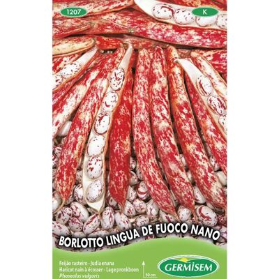 GERMISEM Lingua de Fuoco Nano - Semi rossi, 100g - Semi per Fagioli GERMISEM Lingua de Fuoco Nano - Semi rossi, 100g - Semi per Fagioli