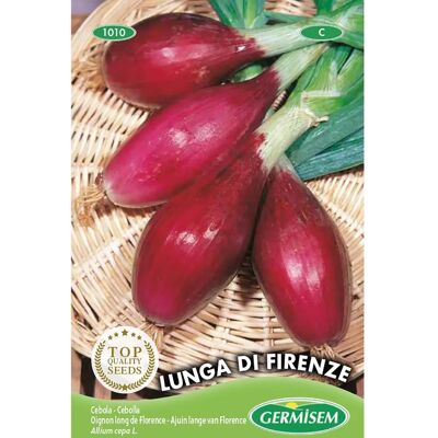 Semi GERMISEM Cebola Longa Di Firenze - Cipolle Semi GERMISEM Cebola Longa Di Firenze - Cipolle