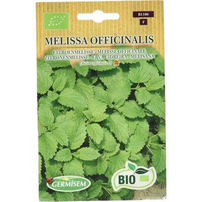 Semi di Melissa GERMISEM - Semi Biologici di Erba Limone - Herba Cidreira - Semi per Giardinaggio Semi di Melissa GERMISEM - Semi Biologici di Erba Limone - Herba Cidreira - Semi per Giardinaggio