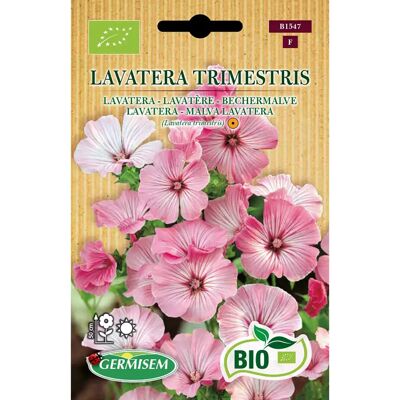 Semi biologici GERMISEM Lavatera Trimestris - Semi Semi biologici GERMISEM Lavatera Trimestris - Semi