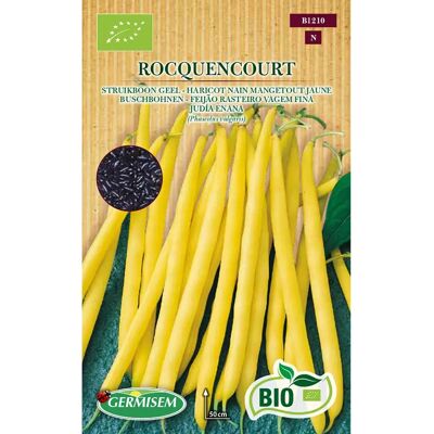 GERMISEM Rocquencourt Biologische boonenzaden - korte gele peulen GERMISEM Rocquencourt Biologische boonenzaden - korte gele peulen