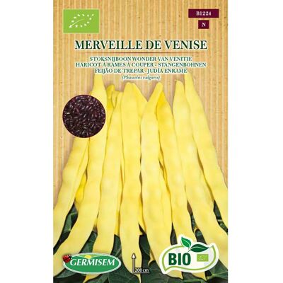 Semences biologiques de haricots rampants GERMISEM - Rendement élevé & longue récolte - Publicité Semences biologiques de haricots rampants GERMISEM - Rendement élevé & longue récolte - Publicité