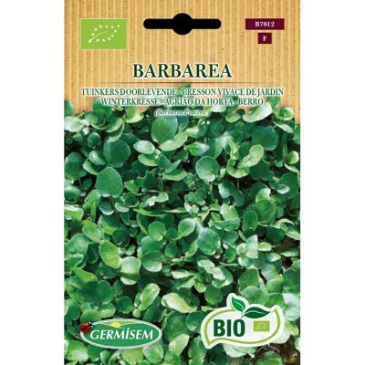 Semi biologici di crescione da giardino - Wintercress Semi biologici di crescione da giardino - Wintercress