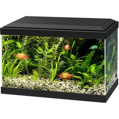 Askoll Ciao Aqua Light 20 Led Acquario - Acquario Askoll Ciao Aqua Light 20 Led Acquario - Acquario