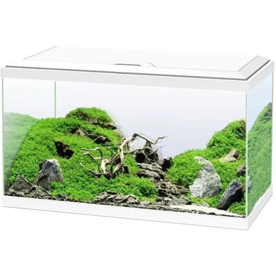 Aquarium CIANO 58L - Filtre, LED, Chauffage - Aquarium - Publicité Aquarium CIANO 58L - Filtre, LED, Chauffage - Aquarium - Publicité