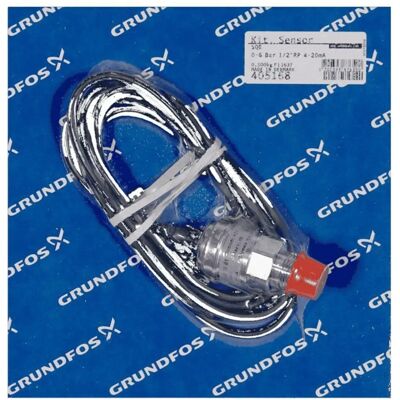 Accessori Grundfos 405168 - Pompa sommersa - Rp 1/2 - Intervallo 0-6 Accessori Grundfos 405168 - Pompa sommersa - Rp 1/2 - Intervallo 0-6