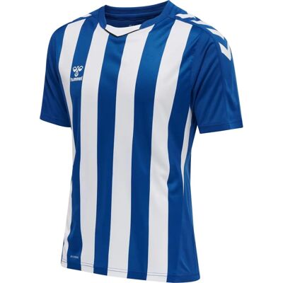 Hummel hmlCore XK Striped Jersey - Training Jersey Hummel hmlCore XK Striped Jersey - Training Jersey