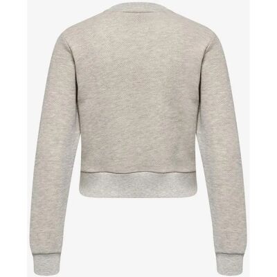 Hummel LGC Shai Short Sweatshirt - Sweatshirt - Grau Hummel LGC Shai Short Sweatshirt - Sweatshirt - Grau