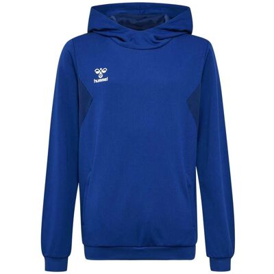 Hummel Hettegenser Authentic Pl 14 År - Pojke Hummel Hettegenser Authentic Pl 14 År - Pojke