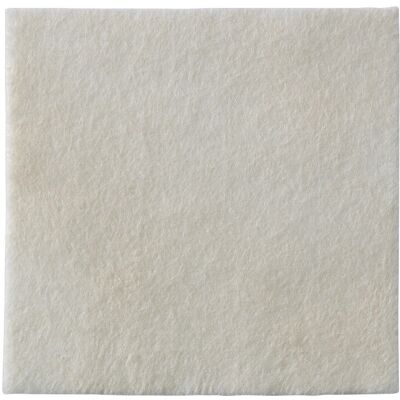 Coloplast Biatain Alginate Cerotti - 15x15 cm - 10 pezzi Coloplast Biatain Alginate Cerotti - 15x15 cm - 10 pezzi