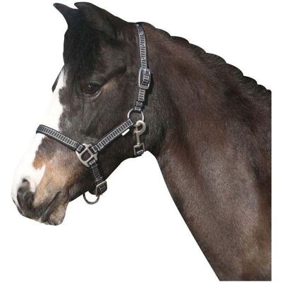 HorseGuard Rio Schwarz - Pferdehring HorseGuard Rio Schwarz - Pferdehring