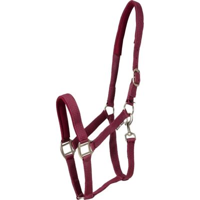 HorseGuard Pony Nylon Nasenriemen - HorseGear Nylon Grimma - Röd - Pony HorseGuard Pony Nylon Nasenriemen - HorseGear Nylon Grimma - Röd - Pony