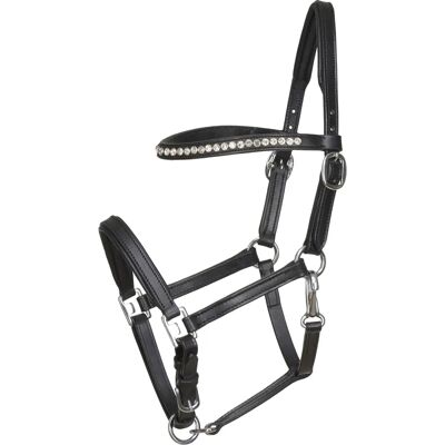 HorseGuard Halte en cuir pour poulains - Équipement pour chevaux - Publicité HorseGuard Halte en cuir pour poulains - Équipement pour chevaux - Publicité