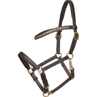 HorseGuard HG Föl Showhalter - Leder - Braun HorseGuard HG Föl Showhalter - Leder - Braun