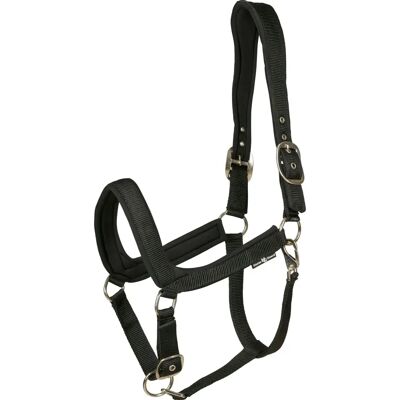 HorseGuard Anatomische Halfter - Schwarz - Verstellbar, Gepolstert, Modisch - Pferdehalfter HorseGuard Anatomische Halfter - Schwarz - Verstellbar, Gepolstert, Modisch - Pferdehalfter