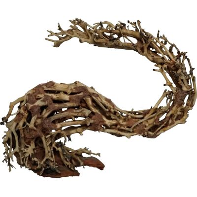 4FISH Tête de Dragon - Décoration Aquarium 22x10x15 cm - Publicité 4FISH Tête de Dragon - Décoration Aquarium 22x10x15 cm - Publicité